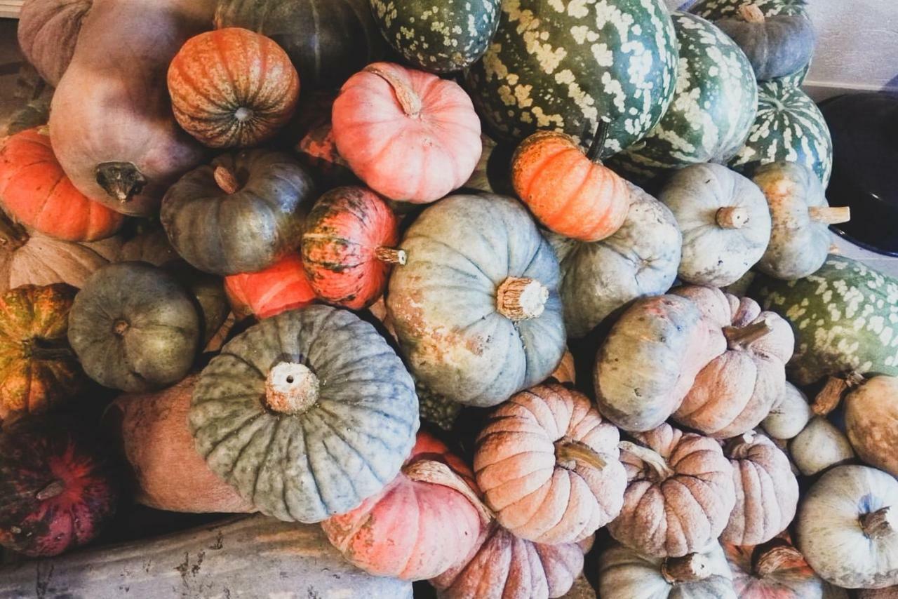 Agriturismo Fiori Di Zucca فوسّانو المظهر الخارجي الصورة
